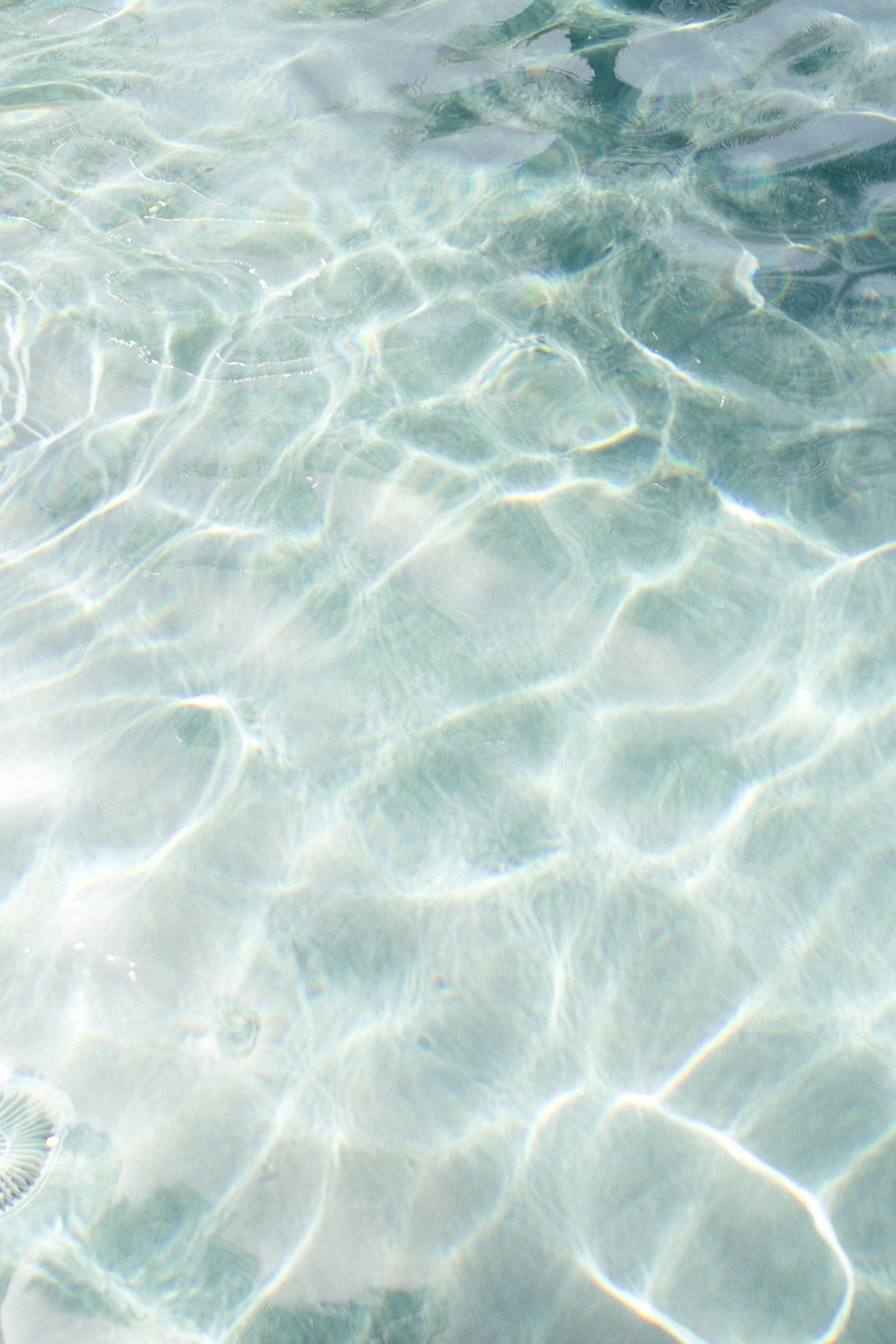 Water surface — stillness within movement