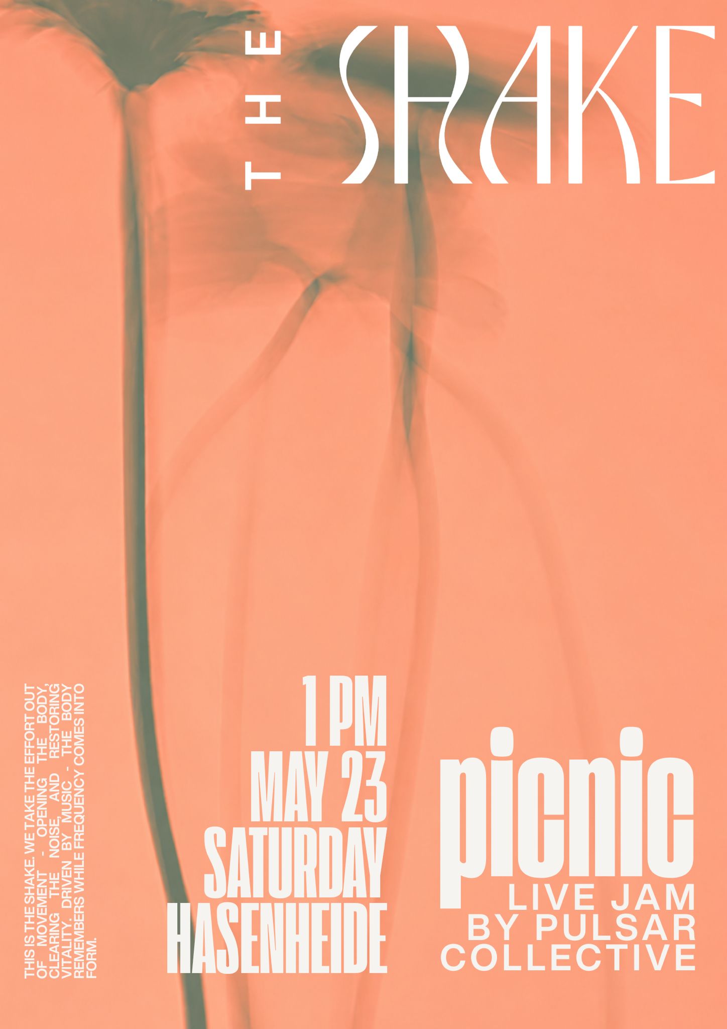 Shake Picnic · Hasenheide · May 23